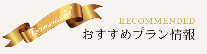 おすすめプラン情報