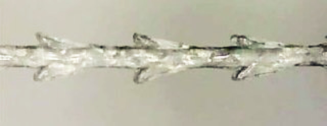 組織にやさしいコグ形状