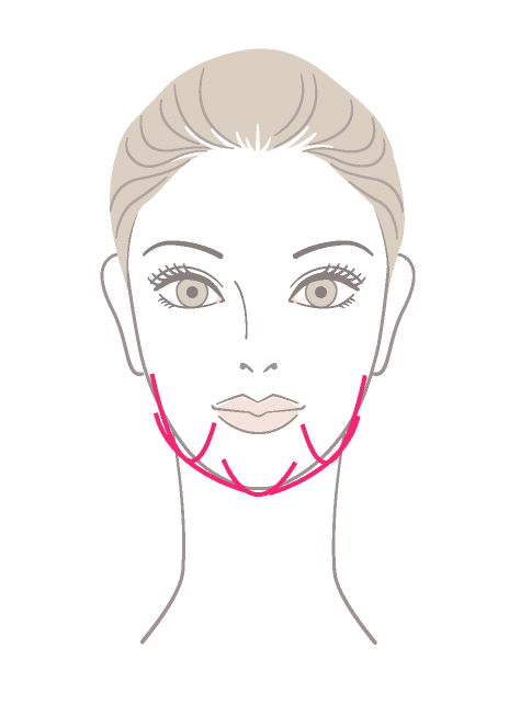 フェイスライン